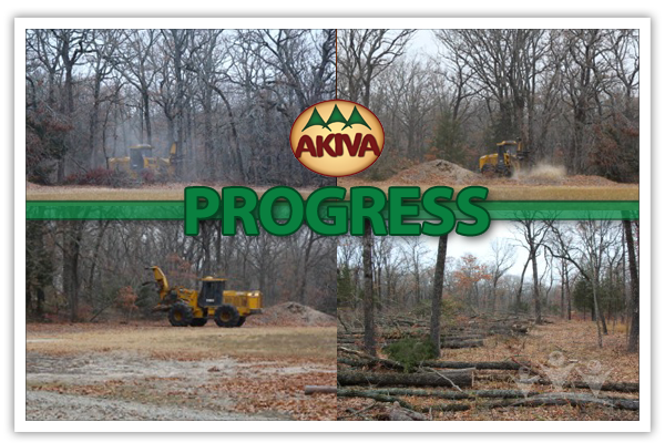 Progress at Camp Akiva